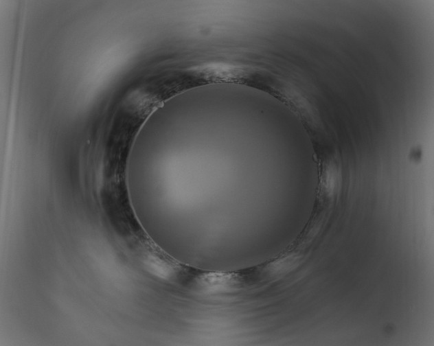 X0000111510526200907281317