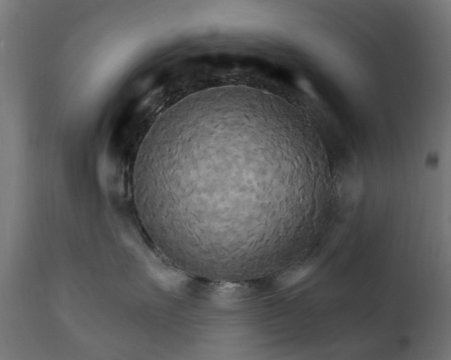 X0000111510527200907281317