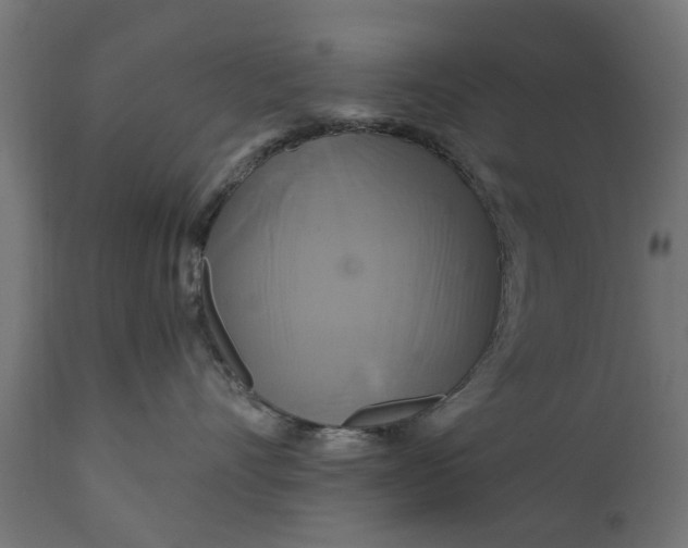 X0000111510528200907281317