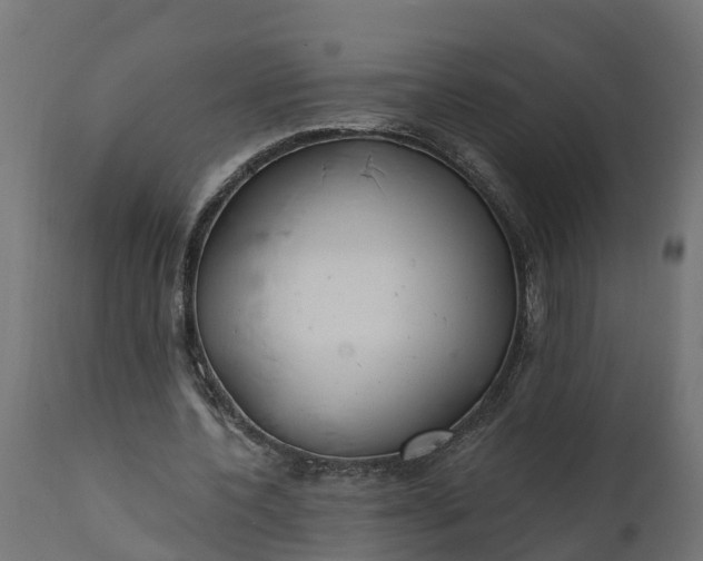 X0000111510532200907281316