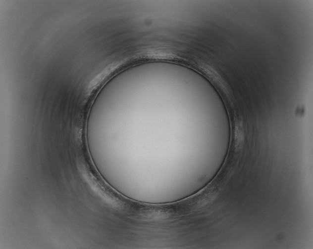 X0000111510533200907281316