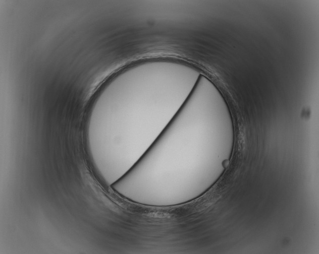X0000111510535200907281316