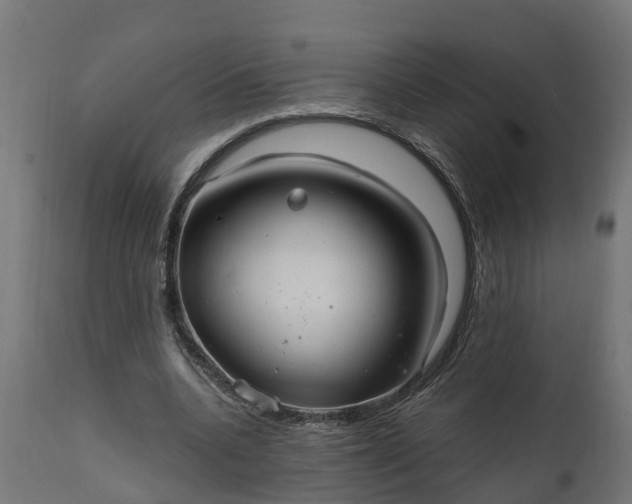 X0000111510536200907281317