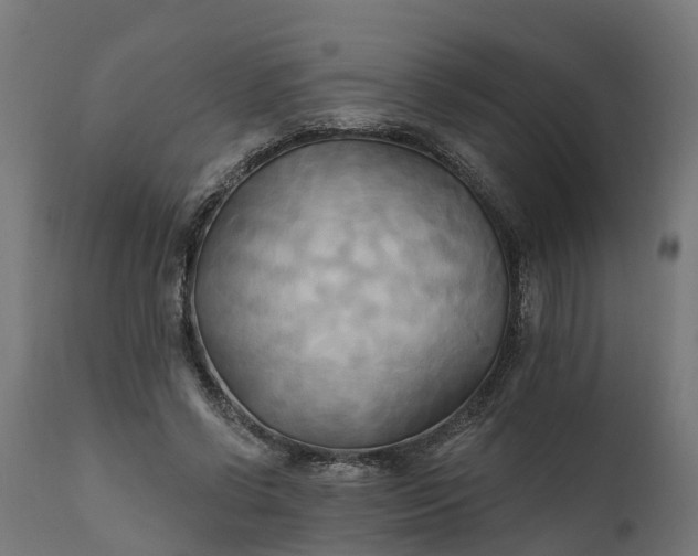 X0000111510542200907281317