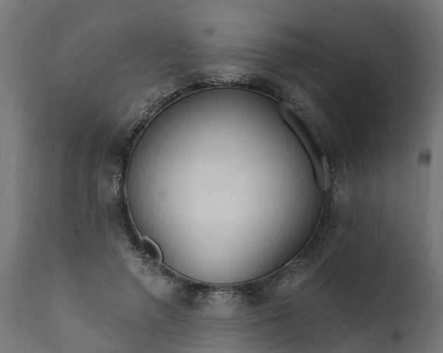 X0000111510546200907281317