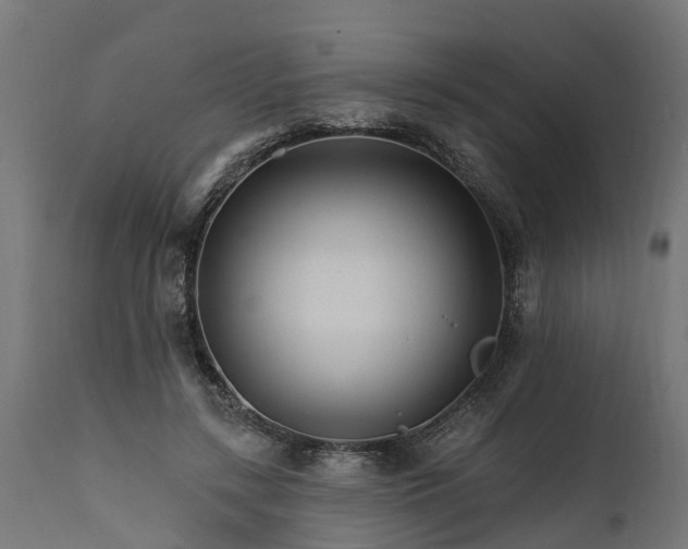 X0000111510547200907281317