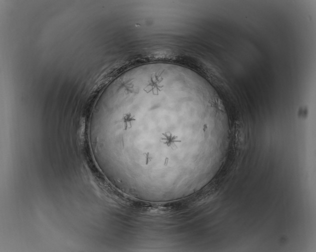 X0000111510550200907281317