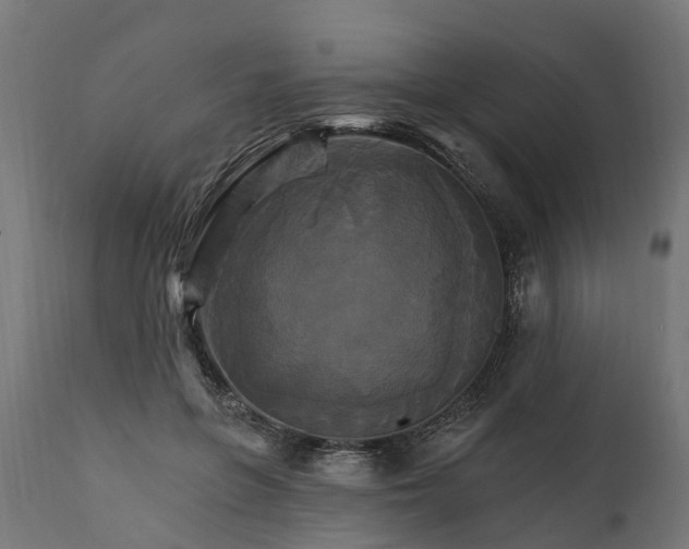 X0000111510551200907281317