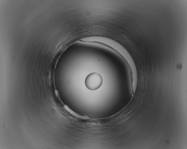 X0000111510552200907281317