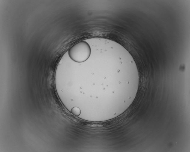 X0000111510554200907281317