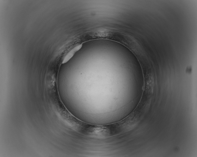 X0000111510555200907281317