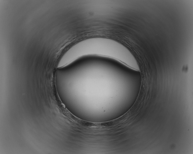 X0000111510556200907281317