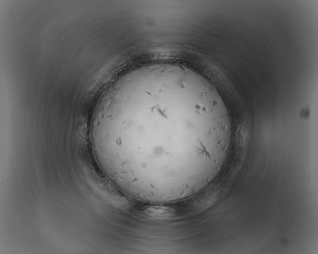 X0000111510557200907281317