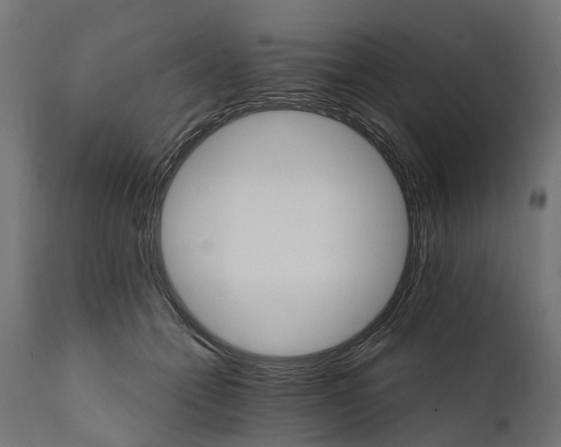 X0000111510558200907281317