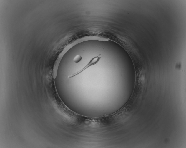 X0000111510559200907281317