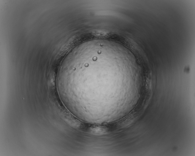 X0000111510561200907281317