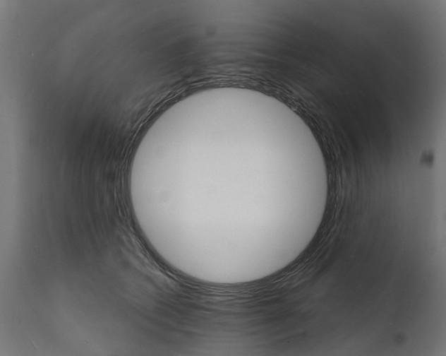 X0000111510562200907281317