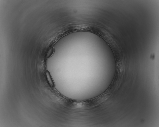 X0000111510564200907281317