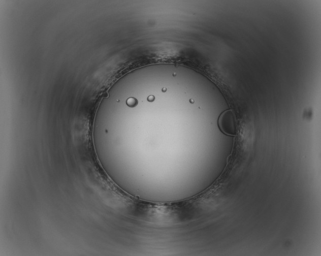 X0000111510565200907281317
