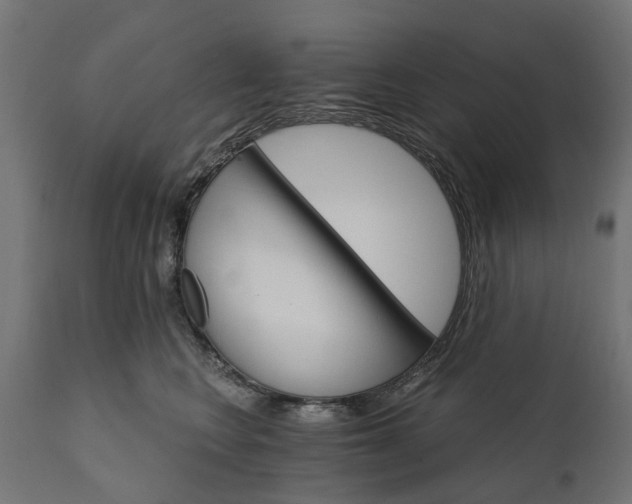 X0000111510566200907281317