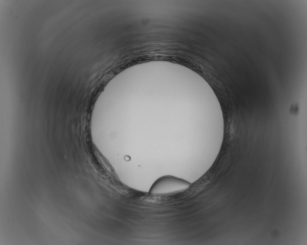 X0000111510567200907281317