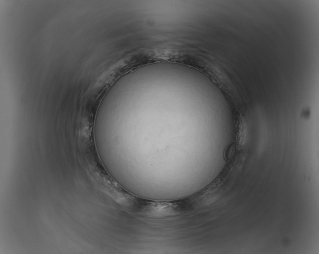 X0000111510569200907281317