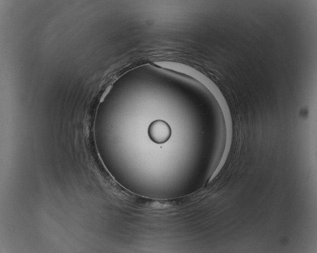 X0000111510570200907281317