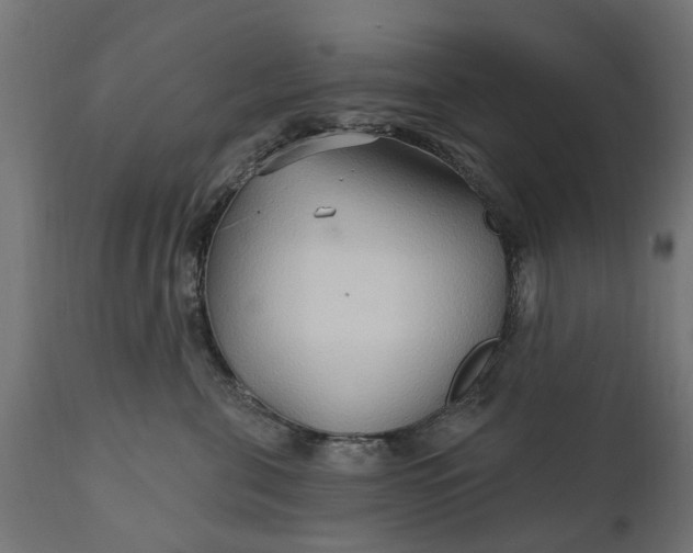 X0000111510571200907281317