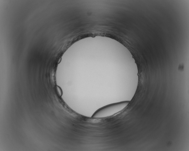 X0000111510575200907281317