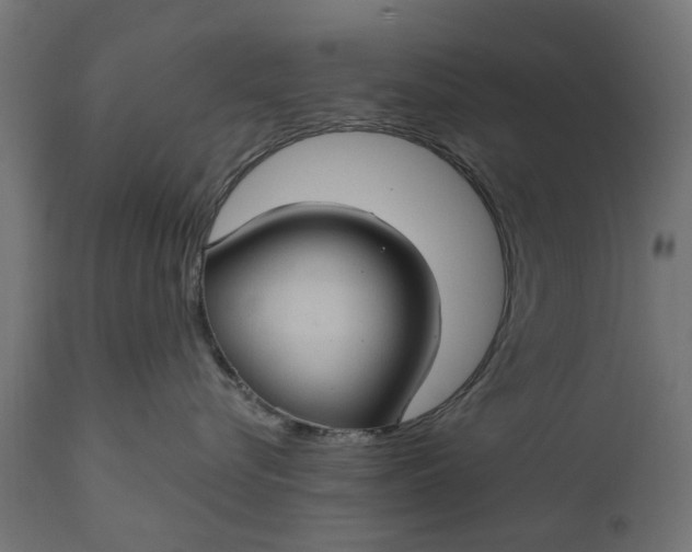X0000111510576200907281317