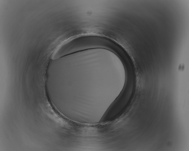 X0000111510577200907281316