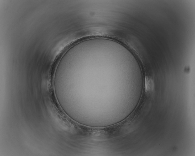X0000111510579200907281316