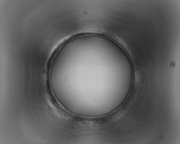 X0000111510580200907281316