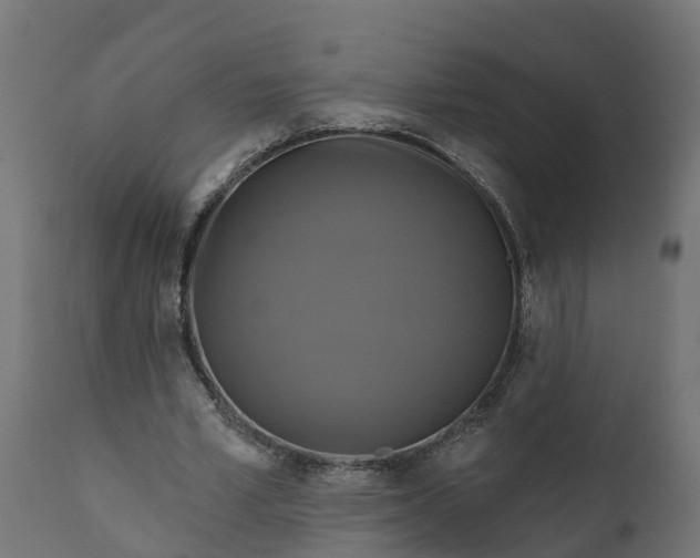 X0000111510581200907281316