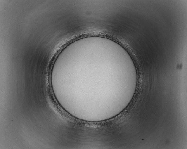 X0000111510582200907281316