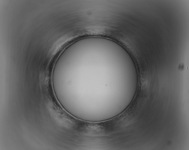 X0000111510583200907281316