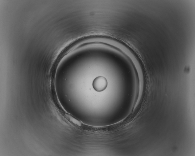 X0000111510584200907281316