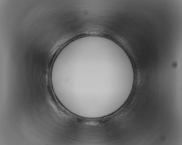X0000111510586200907281316