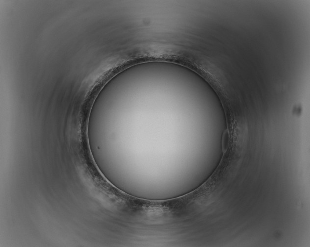 X0000111510587200907281316