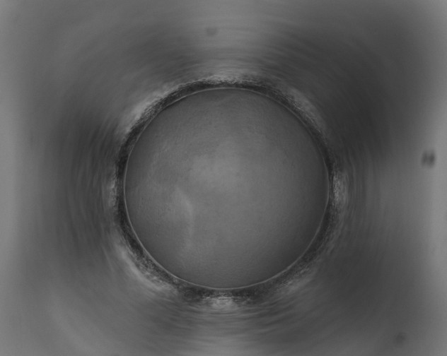 X0000111510588200907281316