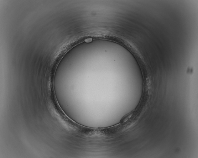 X0000111510589200907281316
