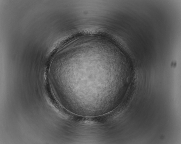 X0000111510590200907281316