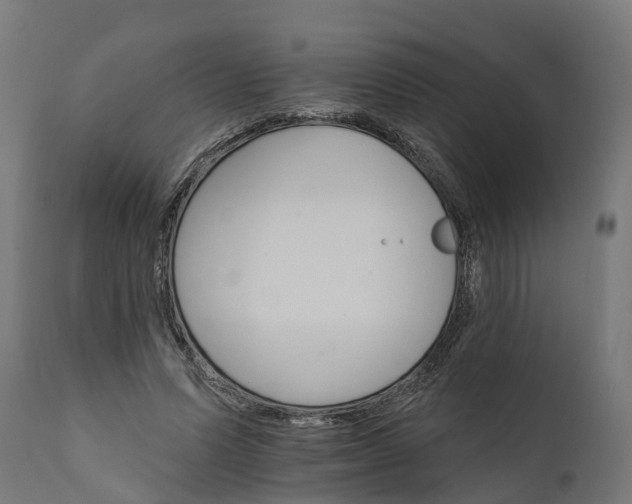 X0000111510591200907281316