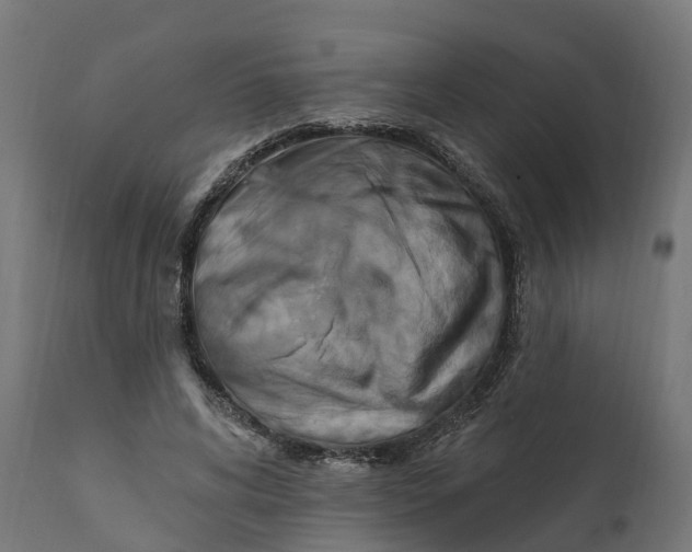 X0000111510592200907281316