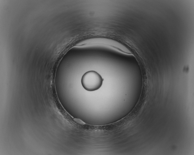 X0000111510593200907281316