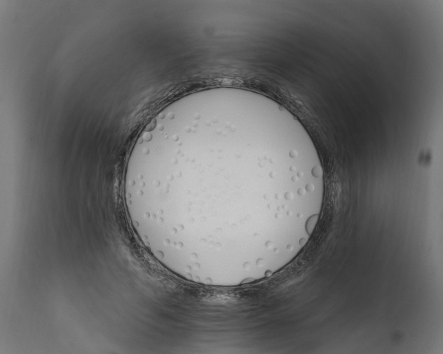 X0000111510594200907281316
