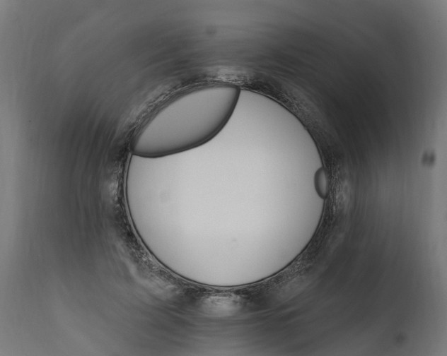 X0000111510595200907281316