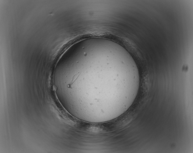 X0000111510596200907281316