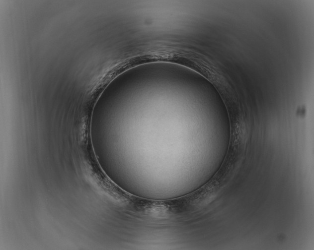 X0000111510600200907281316