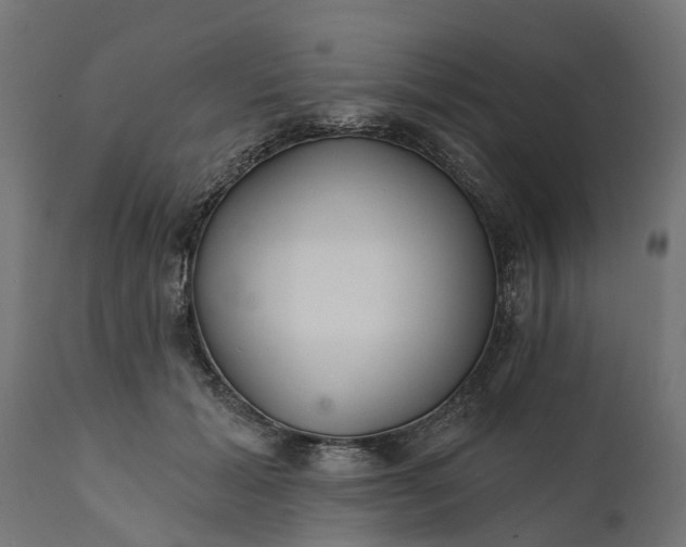 X0000111510605200907281316